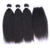 Brazilian Virgin Human Hair Weave Bundles Kinky Straight 8A Peruvian Malaysian Indian Mongolian Italian Coarse Yaki Straight Hair Extensions