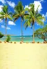 Palmiye Ağaçları Plaj Temalı Fotoğraf Stüdyosu Arka Plan Kumlu Zemin Mavi Gökyüzü Deniz Su Yaz Doğa Manzaralı Fotoğraf Standında Arka Planında