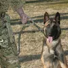 US Exército Tático Trela ​​Do Cão À Prova D 'Água de Liberação Rápida Heavy Duty Panic Snap Ajustável Trela ​​Do Cão Militar Dog Tactical Leads cinto