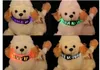 Eco-vriendelijke patroon nylon huisdier led halsband nachtveiligheid led knipperende gloed led huisdierbenodigdheden hond kattendraad mesh halsbanden