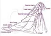 Det nya Europa och USA 1 T White Lace Applique Bride Wedding Bridal Veil Ivory Cathedral Längd Comb3498452
