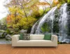 Foresta di montagna cascata 3D sfondo divano TV affreschi murale carta da parati 3d carte da parati 3d per tv sfondo278N