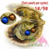 Vente en gros de perles jumelles Akoya rondes dans un emballage sous vide de perles d'huîtres 1 # et 3 # couleur double perle Akoya dans une huître 6-7mm