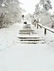 Gruesas escaleras cubiertas de nieve árboles fondos de invierno para fotografía sesión de fotos escénica al aire libre papel tapiz niños fondos de cabina de estudio