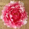 5.9 "高品質大きなシルク牡丹の花の頭の結婚式のパーティーの装飾人工シミュレーションシルク牡丹椿のバラの花の壁の壁の結婚式