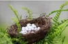 Mini nid d'oiseau de 6cm et 10 œufs, bonsaï en résine, artisanat, outil de décoration de jardin féerique, décoration de maison Miniature B93604303382214