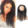 Glamorous Human Hair 360 Frontals Body Wave Straight Deep Wave Curly Brazilian Hair 360 Lace Frontal Closures 22.5x4x3 Round Lace Closures