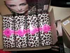 لوف ألفا 3D FIBER LASHES Leopard Lasces ماسكارا مجموعة W / الإنجليزية دليل ماء زرع جل الألياف الطبيعية ماكياج