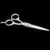 Wholesale- Stainless Steel Regular Hair Cutting Thinning Styling Scissors Hairdressing Hair Salon Tool HB88