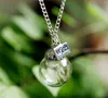 Glazen fles ketting Natuurlijke paardenbloem zaad in glas lange ketting Make A Wish Glass Bead Orb verzilverde ketting sieraden G1258520843