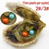 Toptan 30 adet 2 # ve 3 # Renkler Akoya Seawater Twins Pearl Oyster 6-7mm4a Yuvarlak Vakum Ambalaj İnci Ücretsiz Kargo