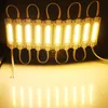 LED Module Light 7019 COB Moudles Advertising Lamp 2W IP65 DC12V DC12V 24V