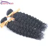 Ombre DIY CLORIS non transformé Vierge Brésilienne Kinky Curly Human Hair Extensions Meilleur prix Jerry Curl Hair Weave 2 Bundles Offres de 100g / PC