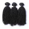 Afro Kinky Curl Bundles de cheveux brésiliens avec fermeture Tissage de cheveux humains Fermeture 4x4 Partie libre Couleur naturelle 1B Noir