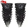 Deep Curly Clip In Human Hair Extensions Mongolian Virgin Human Hair African American Clip In Extensions 10 "-26" Clip In