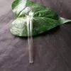 Projeto mais recente Qualidade de qualidade Pyrex Glass Oil Burner Tubo Limpo tubo de cera Tubo de vidro espesso fumando mão de tabaco Tuba de cachimbo seco Filtros de cigarro