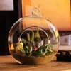 100 pièces/boîte support de lumière de thé terrariums de plantes d'air en verre, porte-bougie en verre suspendu pour chandelier de mariage/décor de jardin/décor à la maison