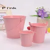 Plantes en pot de fête de mariage Mini petits seaux en étain de couleur assortie peuvent choisir la couleur