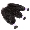 9A Mongol Crépus Bouclés Vierge Cheveux 3 4 Bundles Remy Cheveux Crépus Bouclés Tisse Non Transformés Armure De Cheveux Humains Couleur Naturelle 1028 inc4653849