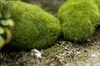 Partihandel-3 st Natural Grön Artificial Moss Dekorativ hantverk Micro Landscape Home Ornament Bonsai Suckulent Gnomes Miniatyr