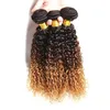 Peruansk ombre mänskligt hår 3bundles kinky curly 1b / 4/27 mörk rot brun honung blondin tre ton ombre jungfru mänskligt hår vävar förlängningar