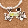 Öppen blomma papilio fjäril stora hål pärlor 100pcs / lot antik silver passform europeisk charm armband smycken diy b1108 15x30mm