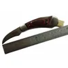 Cuchillo para setas con cerdas de jabalí, hongos para exteriores, trufas, caza, cuchillos afilados con cepillo y bolsa de neopreno6837189