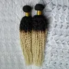 Oombre Bundles Weave Hair Blonde T1b / 613 Peruvian Hair Weave Bundles 200g Peruvian Kinky Curly Virgin Hair2 PCs