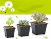 Groothandel Zwart Square Nursery Garden Succulente Potten voor Indoor Room Bonsai Planting Mini Flower Pot levert verschillende stijl potten optie