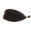 Vrac Afro Crépus Bouclés Vrac Cheveux Humains pour Femmes Noires Indien Humain Tressage Cheveux En Vrac 1 Pièce FDSHINE