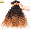 # 1B / 4/30 Trzy Ton Kolor Afro Kinky Kręcone Włosy Ombre Brazylijski Kinky Kręcone Dziewicze Włosy