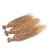 ＃27ハニーブロンドのインド人的な髪の髪の織り延長3本の変態な巻き毛の二重Weftsストロベリーブロンドのバージンレミー人間の髪の束