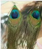 Retro national style dangle Chandelier luxury peacock feather earrings color wild earrings fashion trend