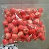 3 cm Green rouge faux mini pomme fruits artificiels de la vie végétale échantillon de décoration de maison 100pcslot déc.