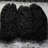 Micro Loops Naturfärg Afro Kinky Curly Micro Loop Human Hair Extensions 300g Mongolian Kinky Curly Hair Micro Link Hårförlängningar 300s