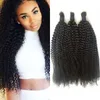 Echthaar-Masse für schwarze Frauen, Afro-verworrenes lockiges peruanisches Haar, 3 Bündel, Flechten, Bulk-Haar, kein Schuss, FDSHINE