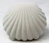 Carino colore della caramella shell matrimonio elegante forma a conchiglia velluto anelli scatola ciondolo medaglione cassa contenitore 100 pz/lotto collezione di gioielli display