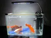 Kit Aquarium a clip LED LUCI AQUARIO per serbatoi di pesce LGIHTS 24 LED COLORE COLORE BIANCO E BLU