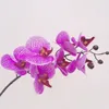 Orquídea de toque real 7 cabeças látex orquídea flor falsa phalaenopsis mais leve roxo para peças centrais de casamento Flores decorativas de festa em casa