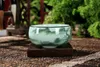 Chiński Longquan Celadon Porcelan Chiny Teacups Złota Ryba 60ml China Herbata Pot Celadon Crackle Cups