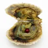 Love Pearl Oyster 6-8 mm Runda 17 # färg havsvatten ostron pärla med vakuum wrap separat förpackning mystisk födelsedagspresent