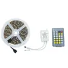 Edison2011 2 colors in 1 Chip 5050 Led Strips with New 24 Key IR Remote Dimmer Controller Dual White CT Color Temperature DC12-24V