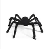 Halloween Props spider kids festival Funny Toy for party Bar KTV halloween decoration plush spider novely baby gift