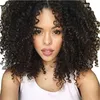 Bästa kvalitet korta svart lockiga peruker syntetiska ladys hår peruk afro kinky curly africa amerikanska syntetiska spets framkant för svarta kvinnor