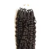 Virgin Curly Chinese Haar Micro Loop Hair Extensions 1G Krullend 100g Kinky Krullend Micro Loop Menselijke Hair Extensions