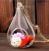 New Arrive Water Tear Drop Glass Hanging Planter Container Vase Pot Terrarium Decoration