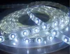 KOSTENLOSER VERSAND 300 Meter SMD3528-LED-Streifen Kostenloser Versand 60 LED/m 12V 24VDC 3528 LED-Streifen, 5m/Rolle, 8mm Leiterplattenrand SMD-LED-Streifen 3528