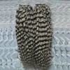 Grey hair weave brazilian hair weave bundles 200g brazilian kinky curly virgin gray curly weave human hair 2PCS