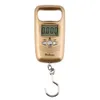 Mini Hanging Scale Pocket Portable 50kg LCD Digital Luggage Weighting Fishing Hook Scale Electronic Scales For Weight Measurement Instrument