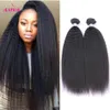 Brésilien Péruvien Indien Vierge Cheveux Crépus Droit 3Bundles 100 Extensions de Cheveux Humains Malaisie Mongol Cambodgien Yaki Straig8911758